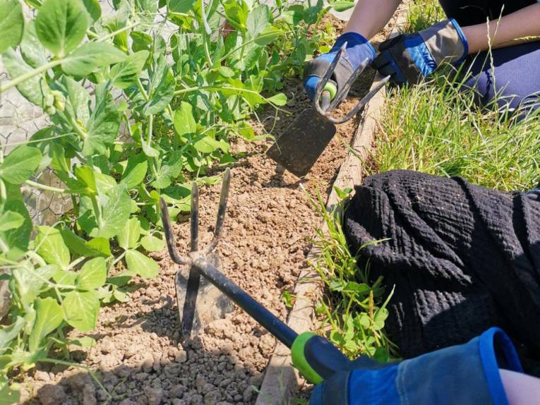 Kinder bei der Arbeit auf dem Acker.