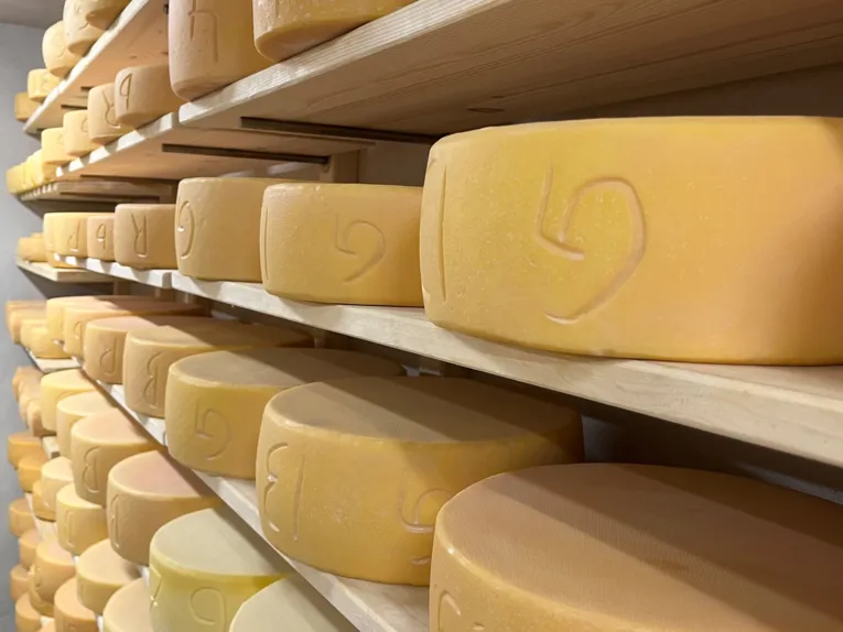 Käse im Regal.