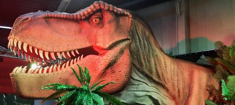 Zu sehen ist ein nachgebauter lebensgro&szlig;er T-Rex-Kopf.