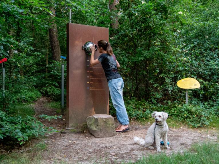 An zw&ouml;lf k&uuml;nstlerisch gestalteten Stationen erf&auml;hrt man, wie der Brelinger Berg entstanden ist.