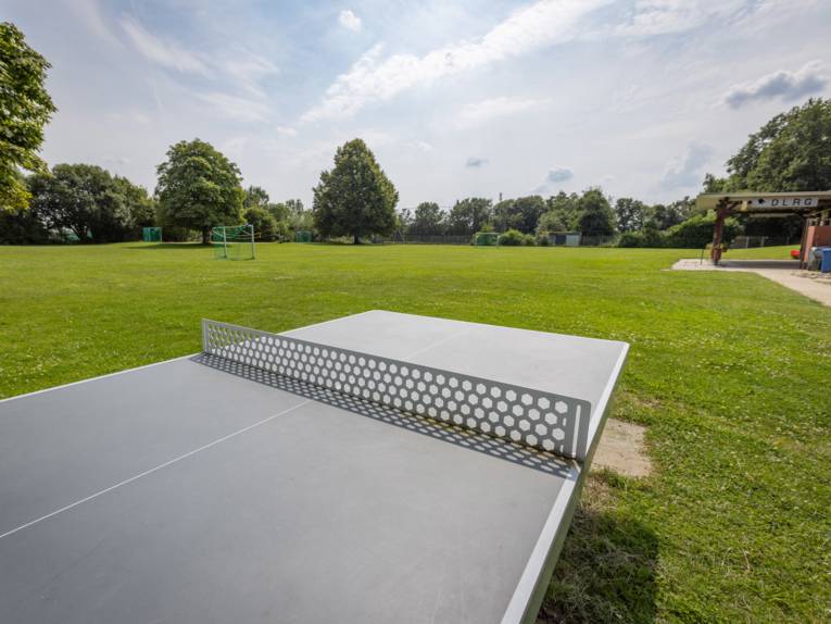 Tischtennisplatte auf einer Rasenfläche