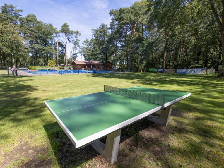 Rasenfl&auml;che auf der eine Tischtennisplatte steht