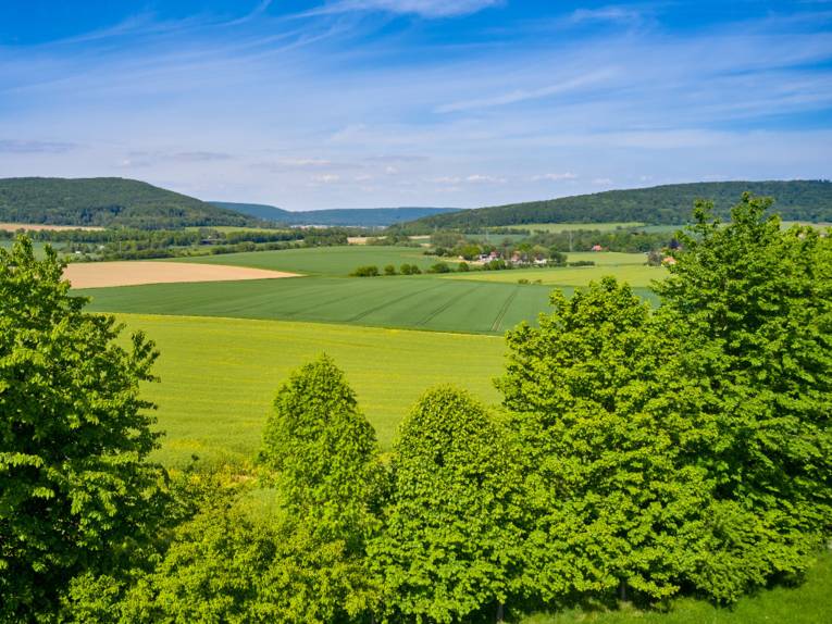Vandra i Calenberger Landes vidsträckta landskap