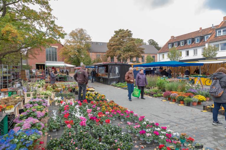 Im Vordergrund Verkaufsblumen, im Hintergrund Kundinnen und Kunden des Wochenmarktes sowie Marktst&auml;nde.