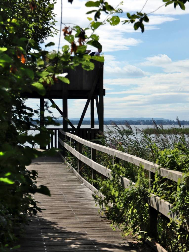 Blick vom Steg auf einen Aussichtsturm am Steinhuder Meer.