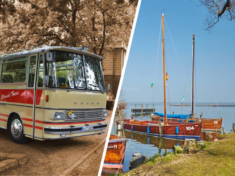 Utflykt till Steinhuder Meer med en veteranbuss