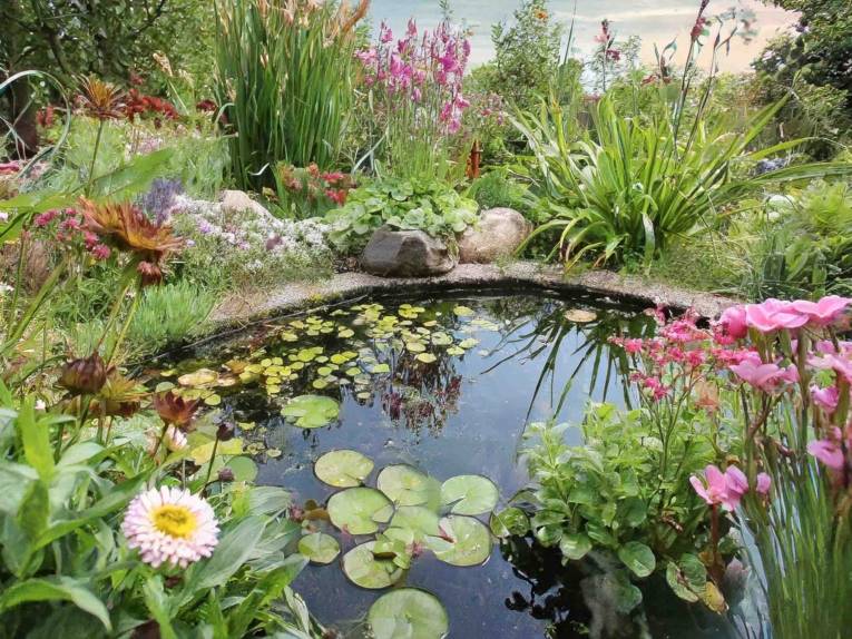 Blick in einen bunten Garten mit Teich.