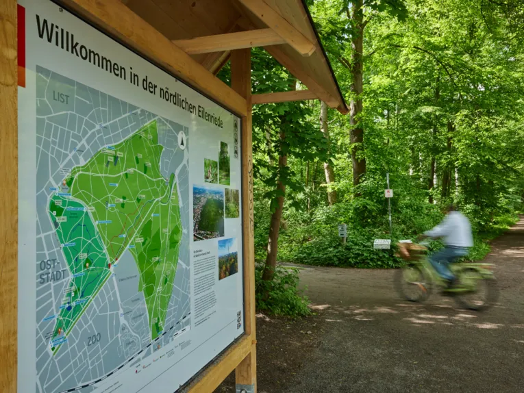 Fahrradfahren in der Eilenriede
