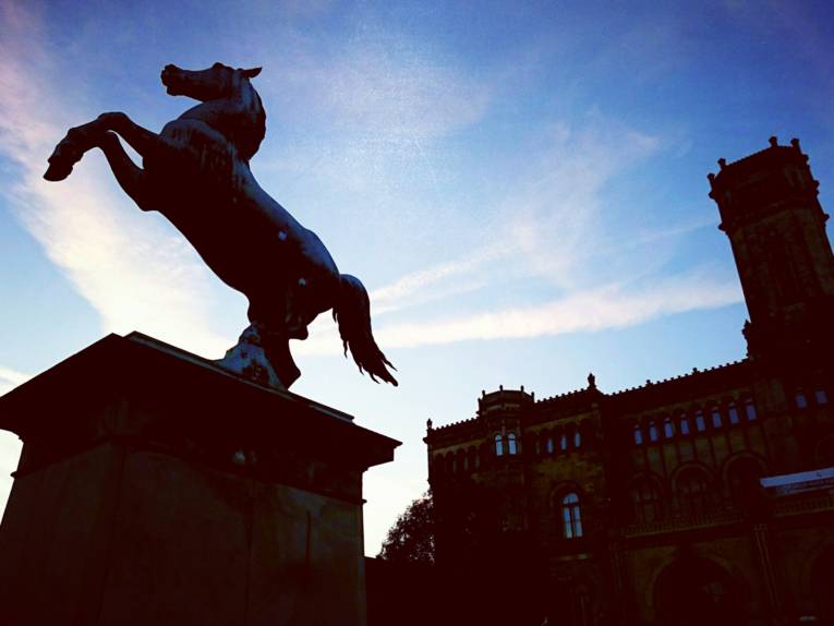 Leibniz Universität