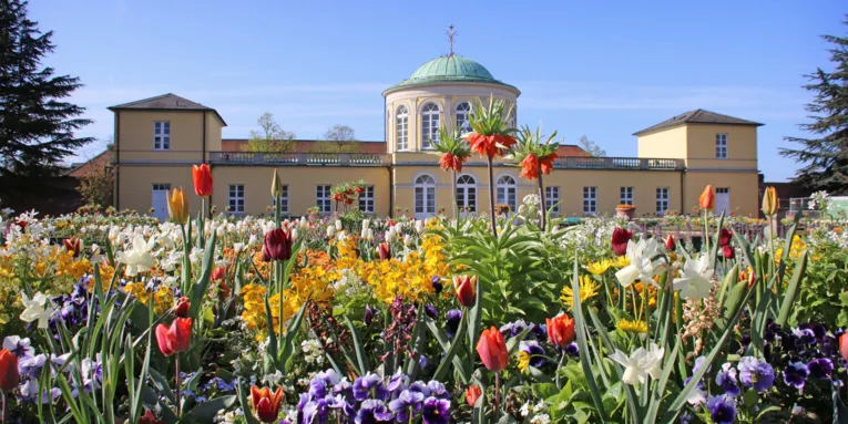 Mountain garden