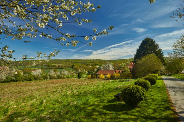 Deister in Spring