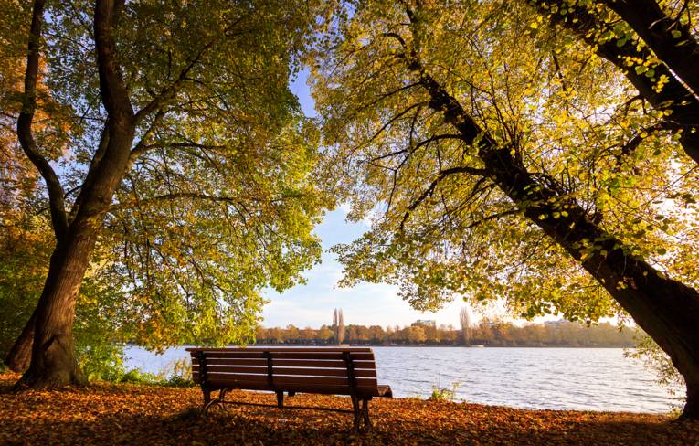 Bank am herbstlichen Maschsee