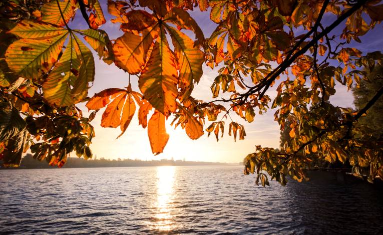 Herbstblick auf den Maschsee