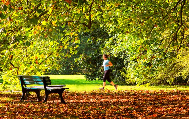 Herbstlicher Georgengarten