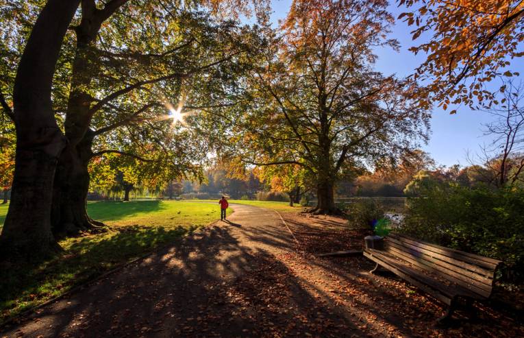 Herbstlicher Maschpark