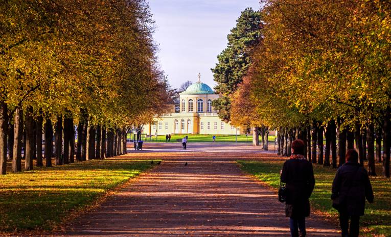 Herrenhäuser Allee in the fall, featuring the library pavilion