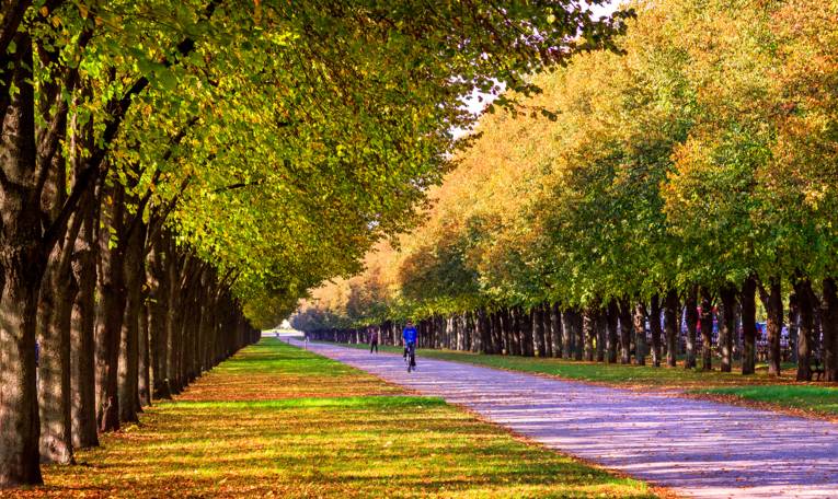 Herrenhäuser Allee im Herbst