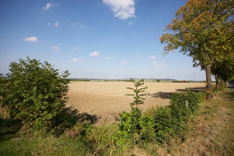 Calenberger Land