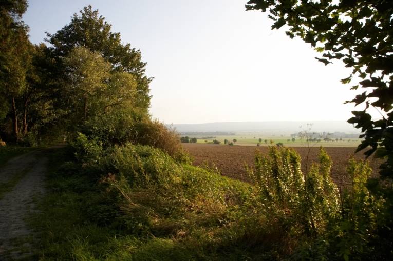 Gehrden