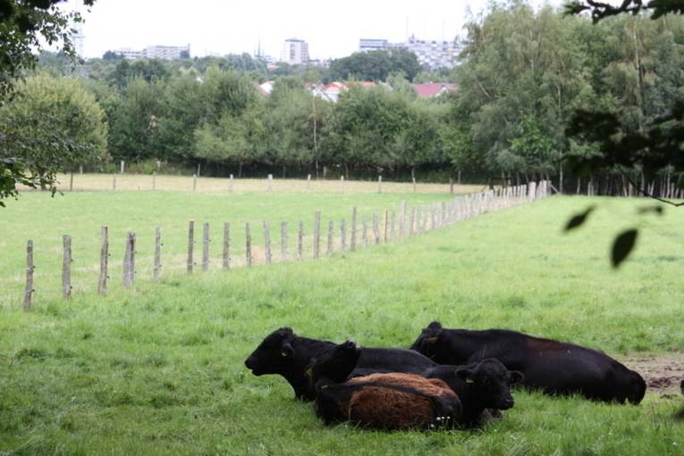 Ahlem-Badenstedt-Davenstedt