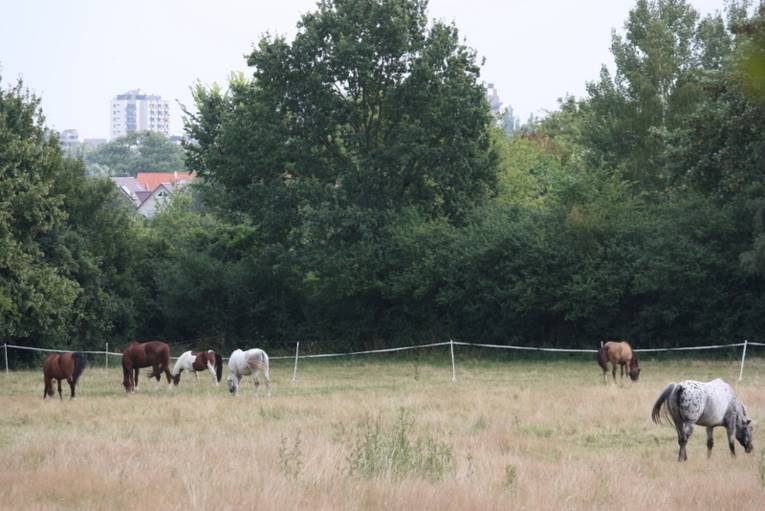 Ahlem-Badenstedt-Davenstedt