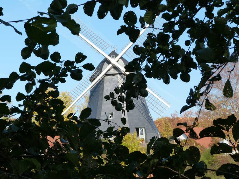Le moulin de Bucholz