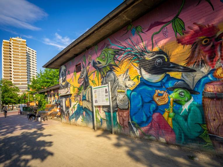Graffiti na horta/11A