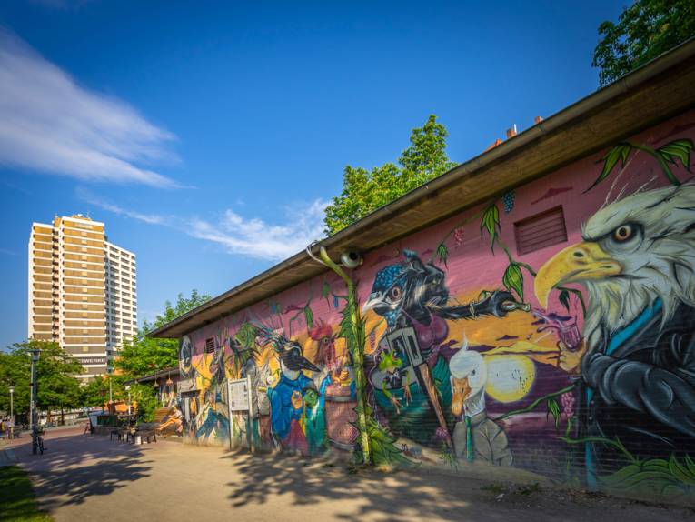 Graffiti na horta/11A