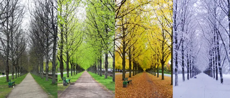 Herrenhäuser Allee