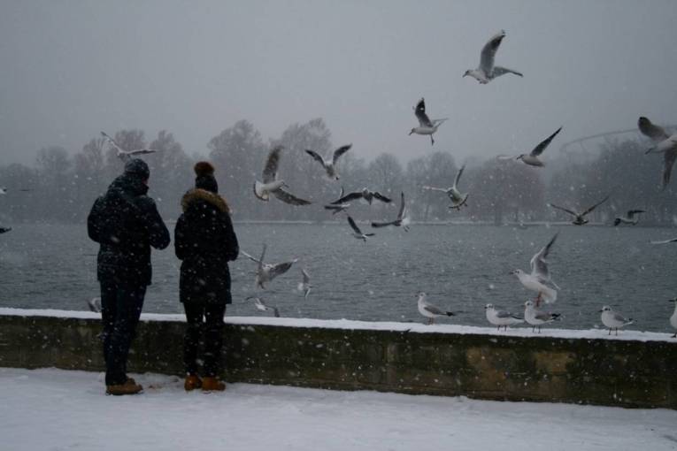 Der Maschsee Anne Strempel 