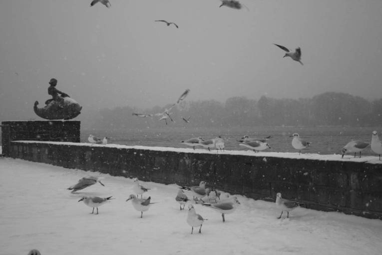 Maschsee Anne Strempel