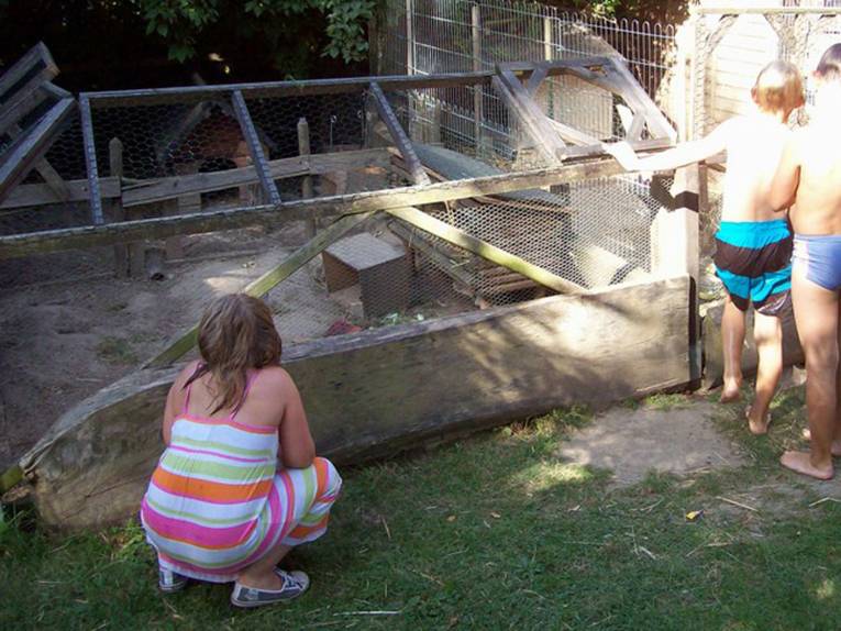Kinder vor Kleintiergehägen