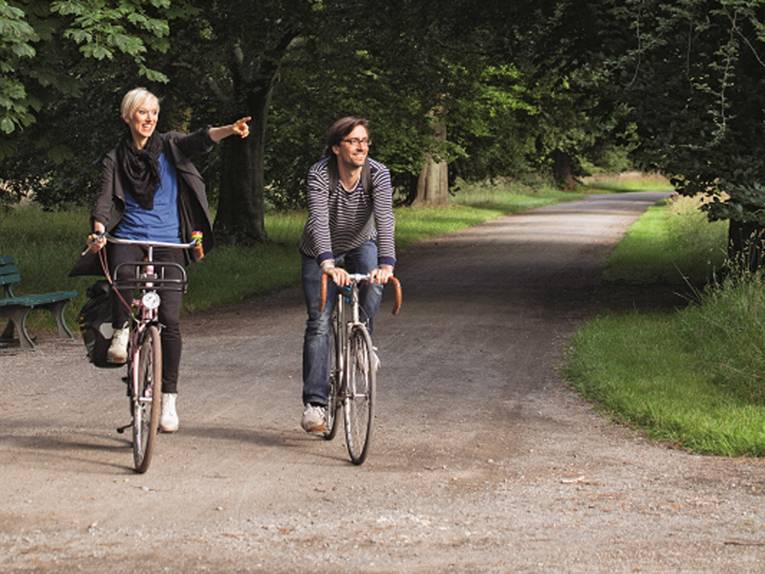 Zwei Radfahrer auf einem Radweg, der von Bäumen umsäumt ist