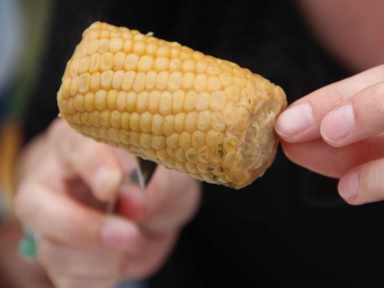 Ein, auf einer Gabel aufgespießter Maiskolben vom Grill. Die Hände der Personen, die ihn hält, sind zu sehen.