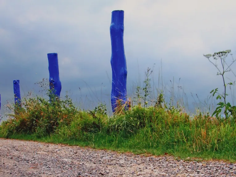 Blau gestrichene Zaunpfähle