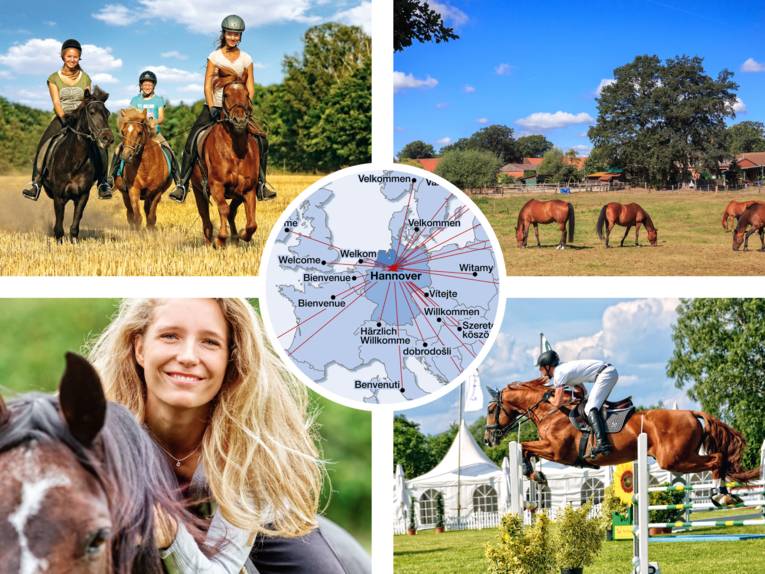 Willkommen in der Pferderegion