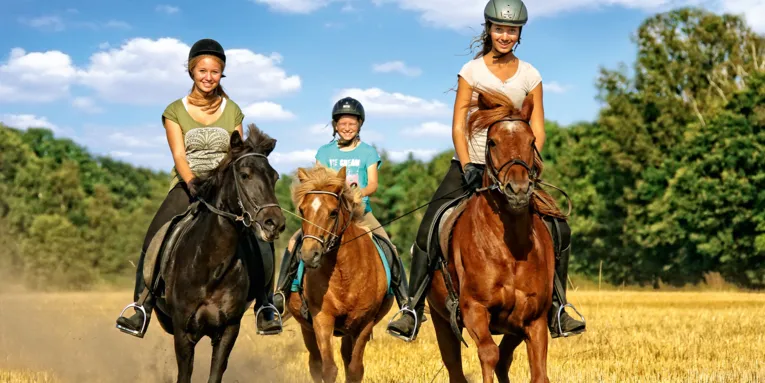 منطقة هانوفر لسباق الخيل (الصورة: Equipics - A. Zachrau)