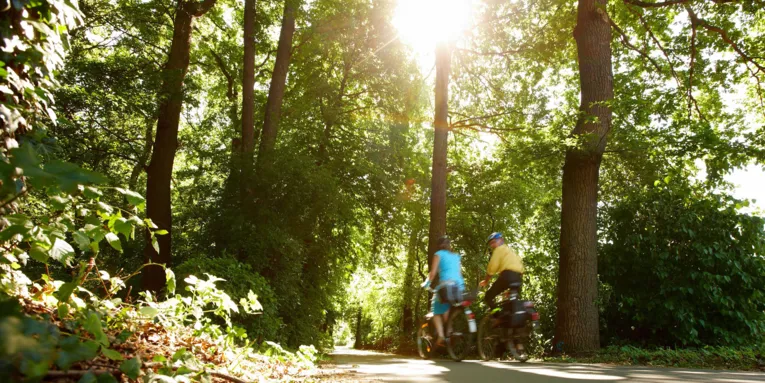 Deux cyclistes dans la forêt.