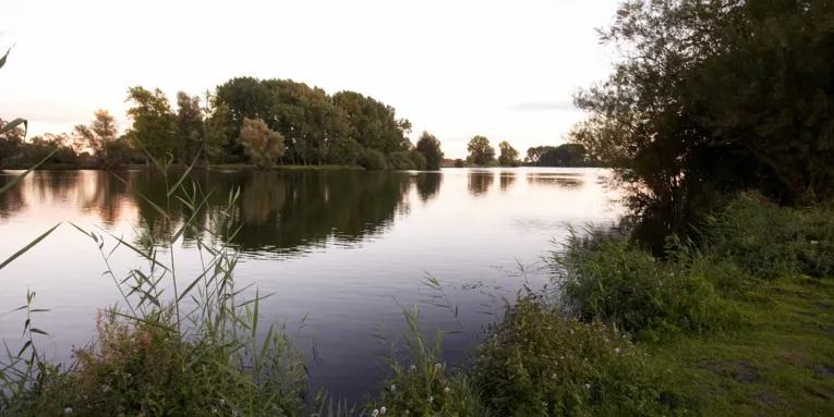 Wilkenburg Teiche