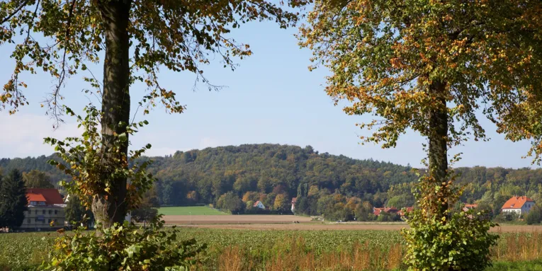 Benther Berg 