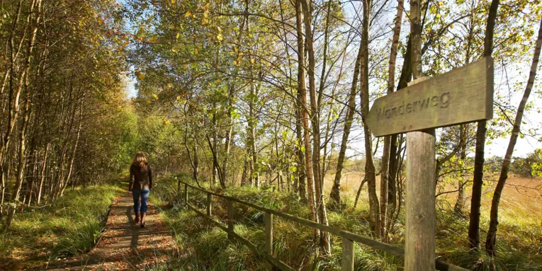 Bissendorfer Moor