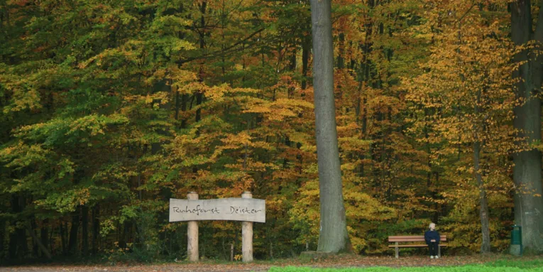 Ruheforst Deister