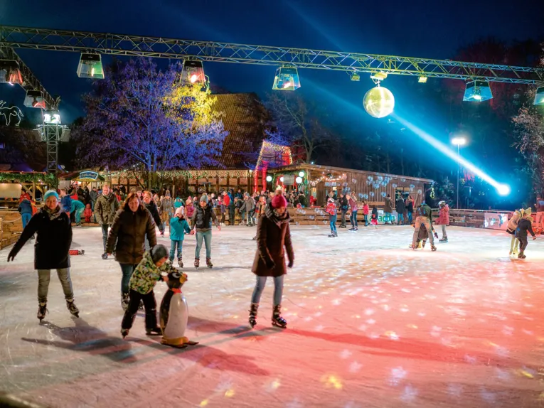 Winter-Zoo