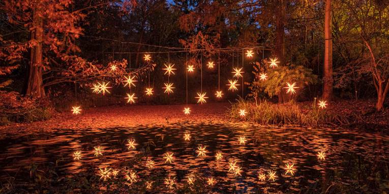 Illumination Sternennacht Christmas Garden