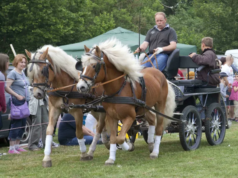 Horse and rider show of the Burgdorf Horse Country Association