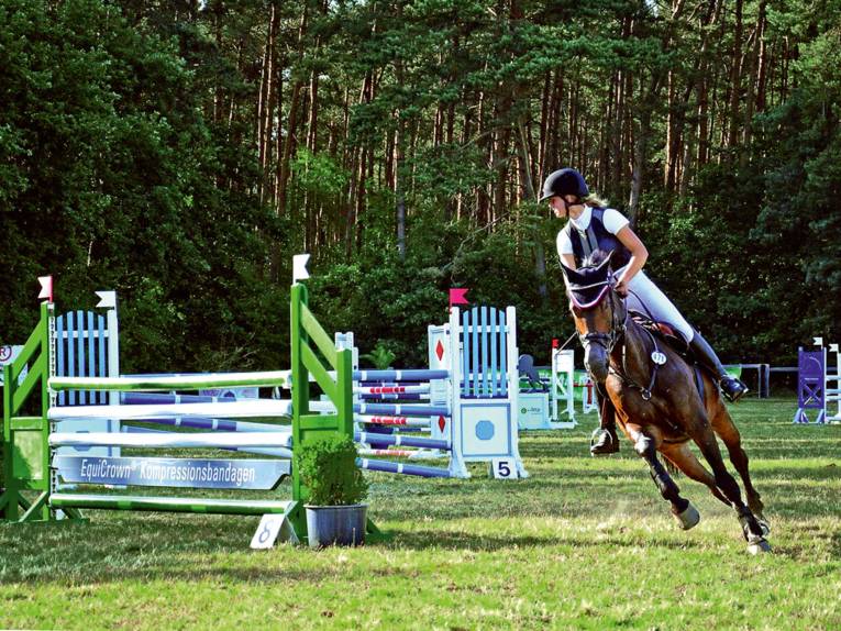 Reit- u. Fahrverein Thönse e.V.