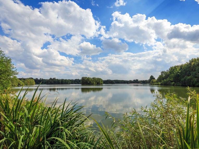 Drei Personen haben es sich unter einem gelben Sonnenschirm vor ihrem Wohnmobil gemütlich gemacht. 