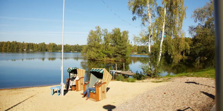 Rasen, ein Gehweg, dahinter eine einfache Holzbank ohne Rückenlehne, dann der See, am Ufer stehen große Birken, auch am gegenüberliegenden Ufer sind Baumgruppen zu sehen