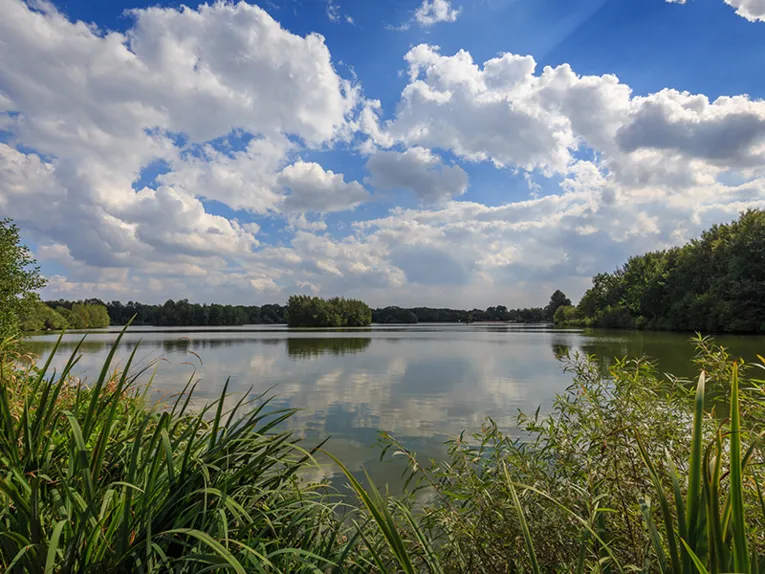  Irenensee in Uetze