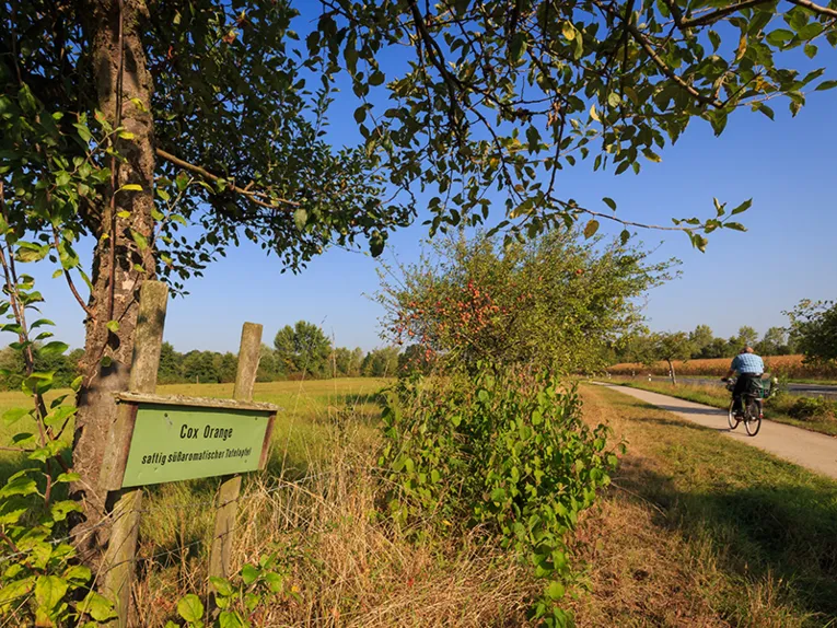  Lehrpfad in Hemmingen